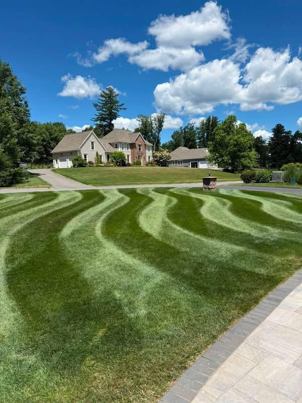 Precisely maintained green lawn