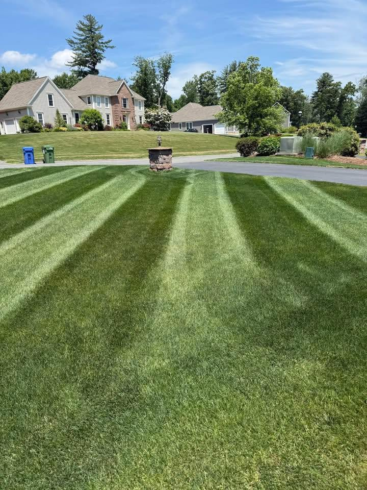 Straight lawn stripes across a neatly maintained yard
